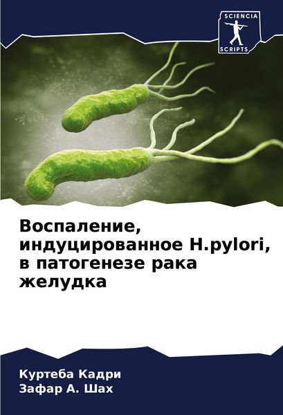 Produktbild: Vospalenie, inducirowannoe H.pylori, w patogeneze raka zheludka