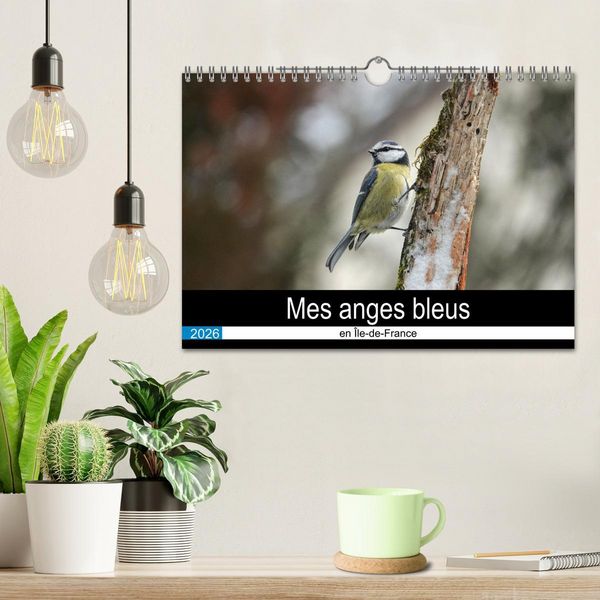 Produktbild: Mes anges bleus en &Icirc;le-de-France (Calendrier mural 2026 DIN A4 vertical), CALVENDO calendrier mensuel