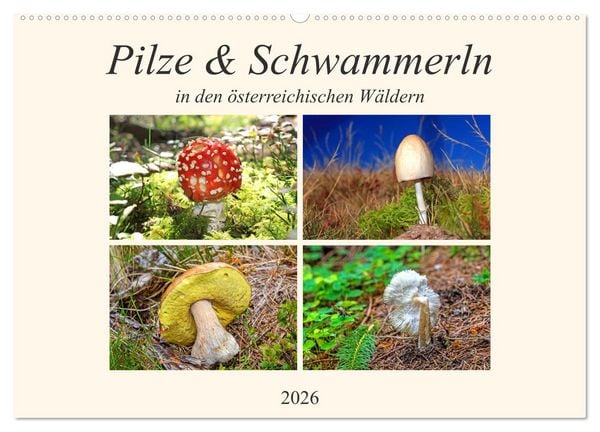Produktbild: Pilze & Schwammerln (Wandkalender 2026 DIN A2 quer), CALVENDO Monatskalender