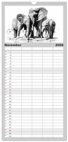 Produktbild: Familienplaner 2026 - AFRIKA - Schwarz-weiss Fotografien im modernen "High Key" Look mit 5 Spalten (Wandkalender, 21 x 45 cm) CALVENDO