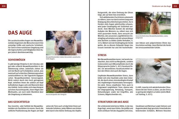 Produktbild: Alpakas & Lamas