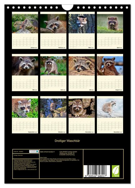 Produktbild: Drolliger Waschb&auml;r (Wandkalender 2026 DIN A4 hoch), CALVENDO Monatskalender