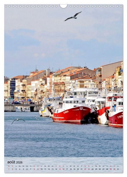 Produktbild: La mouette (Calendrier mural 2026 DIN A3 horizontal), CALVENDO calendrier mensuel