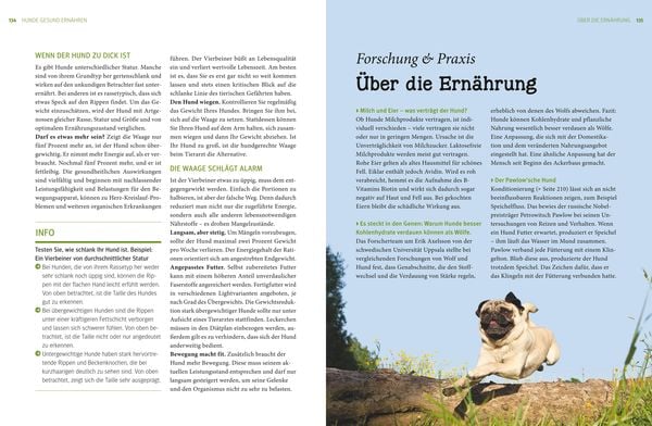 Produktbild: Praxishandbuch Hunde