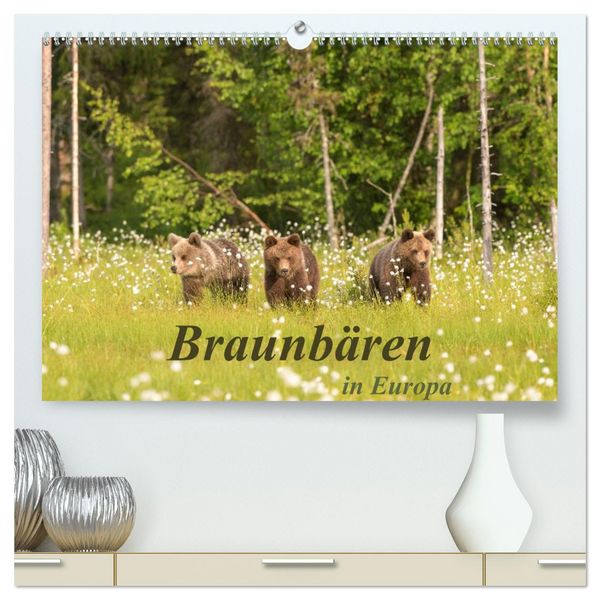 Produktbild: Braunb&auml;ren in Europa (hochwertiger Premium Wandkalender 2026 DIN A2 quer), Kunstdruck in Hochglanz