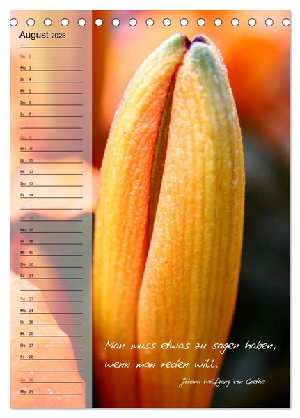 Produktbild: Blumen & Zitate / Geburtstagskalender (Tischkalender 2026 DIN A5 hoch), CALVENDO Monatskalender