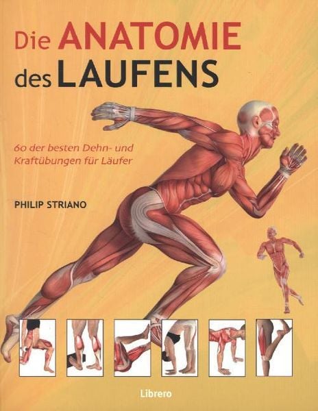 Produktbild: Die Anatomie des Laufens