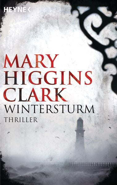 Book cover of Wintersturm