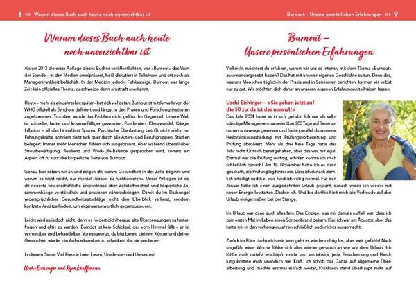 Produktbild: Der Burnout-Irrtum