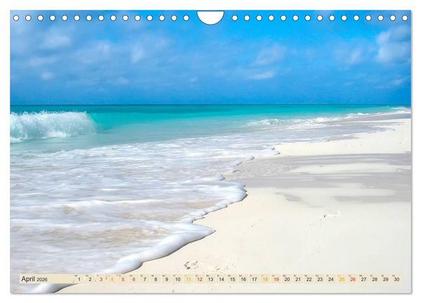 Produktbild: Kalender - selbst gestalten, Fotos selbst einkleben (Wandkalender 2026 DIN A4 quer), CALVENDO Monatskalender