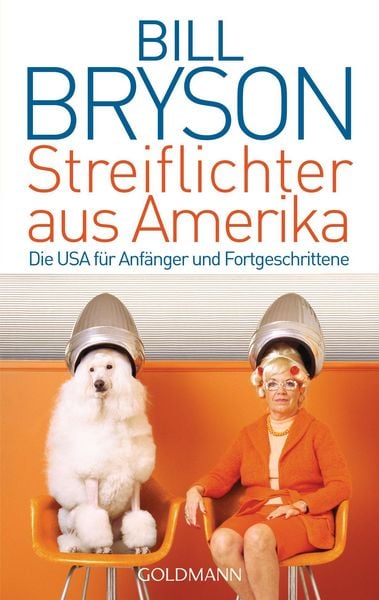 Produktbild: Streiflichter aus Amerika