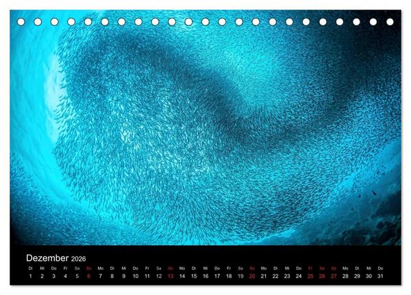 Produktbild: Fischschw&auml;rme (Tischkalender 2026 DIN A5 quer), CALVENDO Monatskalender