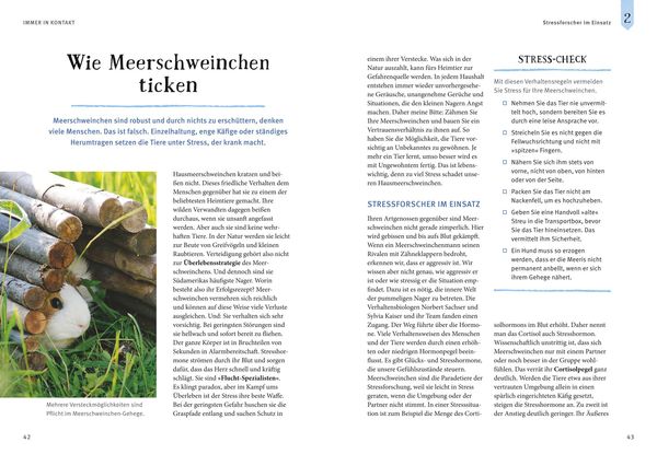 Produktbild: Neugierige Meerschweinchen