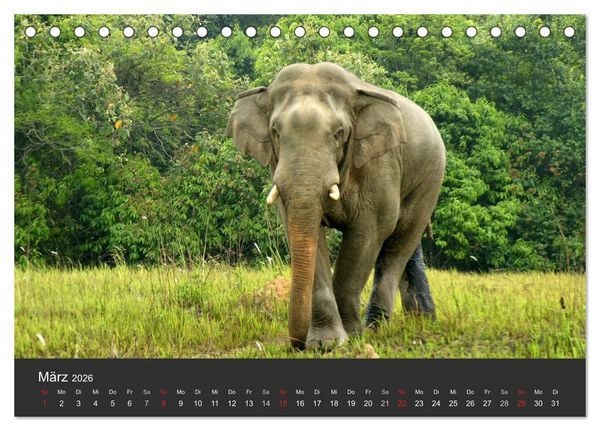 Produktbild: Thailand - exotisch und faszinierend (Tischkalender 2026 DIN A5 quer), CALVENDO Monatskalender