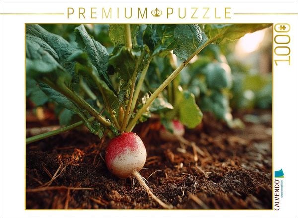 CALVENDO Puzzle Radieschen frisch im Gartenbeet | 1000 Teile Lege-Größe 64x48cm Foto-Puzzle für glückliche Stunden