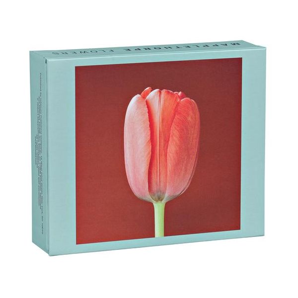 Produktbild: Mapplethorpe Flowers QuickNotes