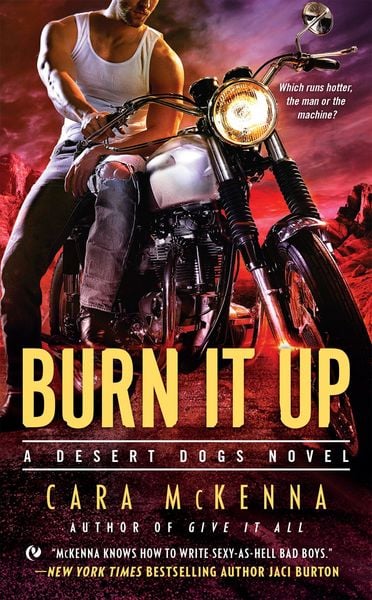 Produktbild: Burn It Up