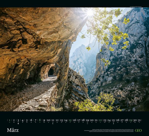 GEO - Kalender: Sehnsucht Wald 2026 - Wandkalender 60x55 Cm, Naturkale - View #11