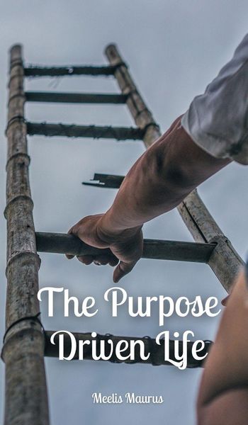 Produktbild: The Purpose Driven Life