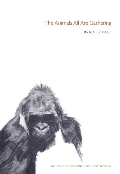 Produktbild: The Animals All Are Gathering