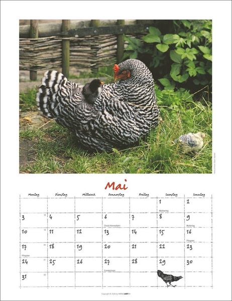 Produktbild: Der H&uuml;hnerkalender 2027