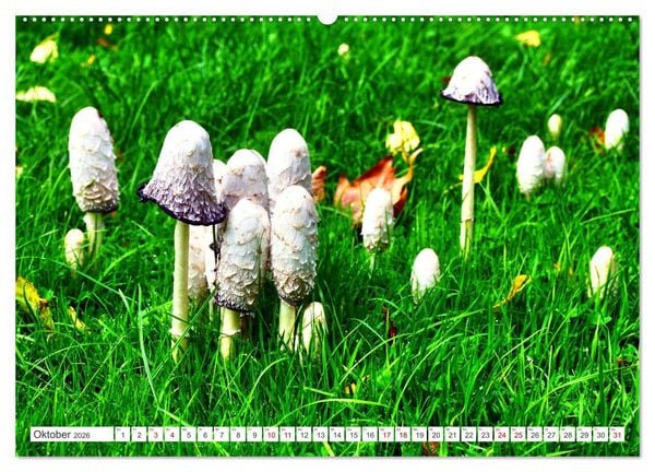 Produktbild: Gr&uuml;nes Paradies - Schlosspark Paffendorf (hochwertiger Premium Wandkalender 2026 DIN A2 quer), Kunstdruck in Hochglanz