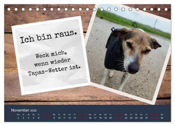 Produktbild: Ratonero Bodeguero Andaluz (Tischkalender 2026 DIN A5 quer), CALVENDO Monatskalender