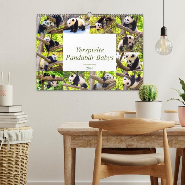 Produktbild: Pandab&auml;r Babys (Wandkalender 2026 DIN A3 quer), CALVENDO Monatskalender