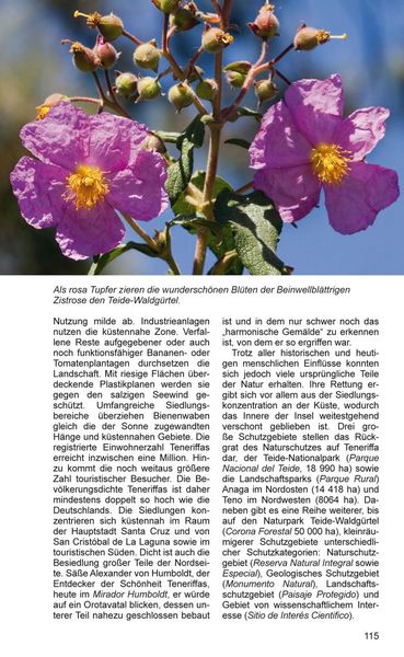 Produktbild: Teneriffa Blaue Finken - Bl&uuml;tenpracht