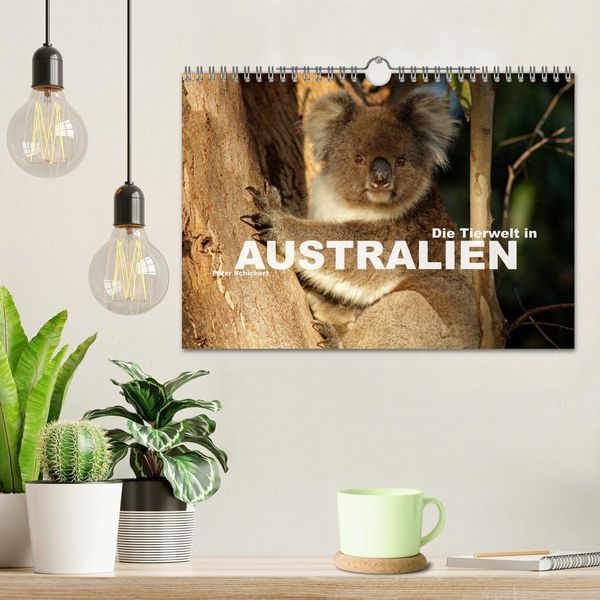 Produktbild: Die Tierwelt in Australien (Wandkalender 2026 DIN A4 quer), CALVENDO Monatskalender