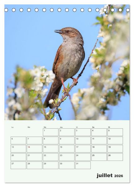 Produktbild: Voyage ornithologique (Calendrier de bureau 2026 DIN A5 horizontal), CALVENDO calendrier mensuel