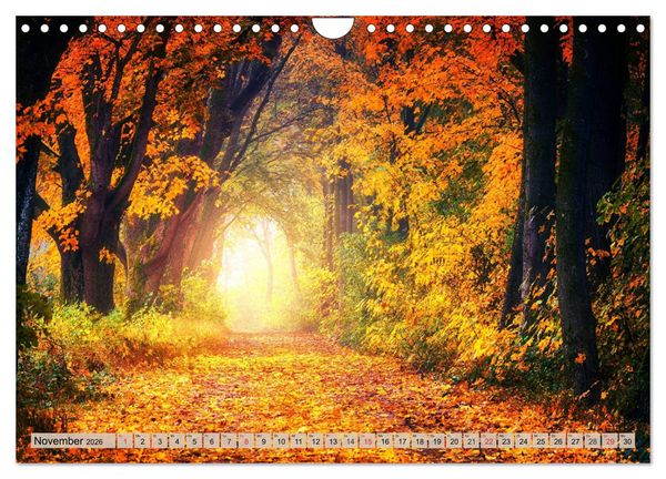 Produktbild: Leise durch den Wald. Sich Zeit nehmen und der Stille lauschen (Wandkalender 2026 DIN A4 quer), CALVENDO Monatskalender