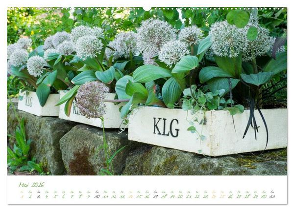 Produktbild: Kreislehrgarten in Steinfurt (Wandkalender 2026 DIN A2 quer), CALVENDO Monatskalender