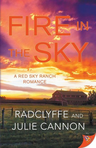 Produktbild: Fire in the Sky