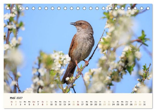 Produktbild: Les voisins du jardin - Une ann&eacute;e de rencontres (Calendrier de bureau 2027 DIN A5 vertical), CALVENDO calendrier mensuel