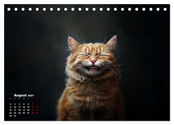 Produktbild: Auch Katzen lachen gern (Tischkalender 2027 DIN A5 quer), CALVENDO Monatskalender