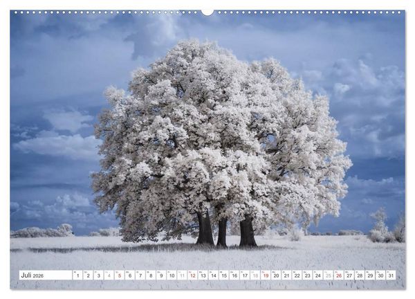 Produktbild: Zauberhafte Infrarot-Fotografie (hochwertiger Premium Wandkalender 2026 DIN A2 quer), Kunstdruck in Hochglanz
