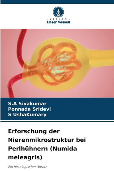 Produktbild: Erforschung der Nierenmikrostruktur bei Perlh&uuml;hnern (Numida meleagris)