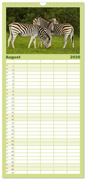 Produktbild: Familienplaner 2026 - Zebras - Faszination der Wildnis mit 5 Spalten (Wandkalender, 21 x 45 cm) CALVENDO
