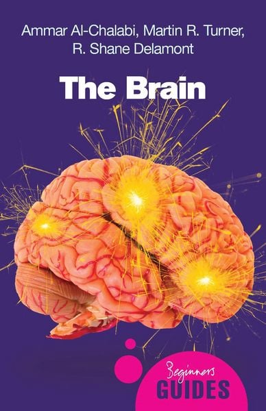Produktbild: The Brain