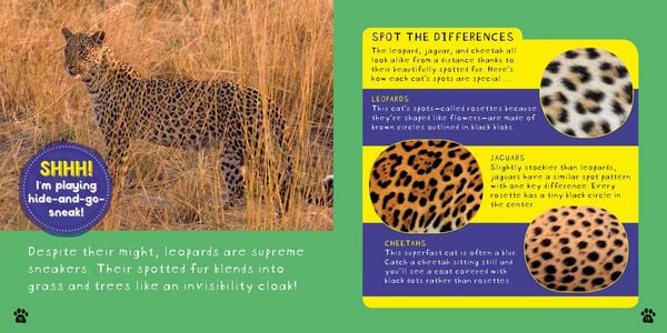 Produktbild: So Cool! Leopards