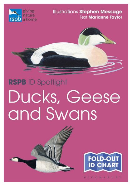 Produktbild: RSPB ID Spotlight - Ducks, Geese and Swans