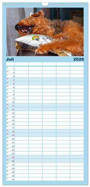 Produktbild: Familienplaner 2026 - Witzige Fellnasen mit 5 Spalten (Wandkalender, 21 x 45 cm) CALVENDO