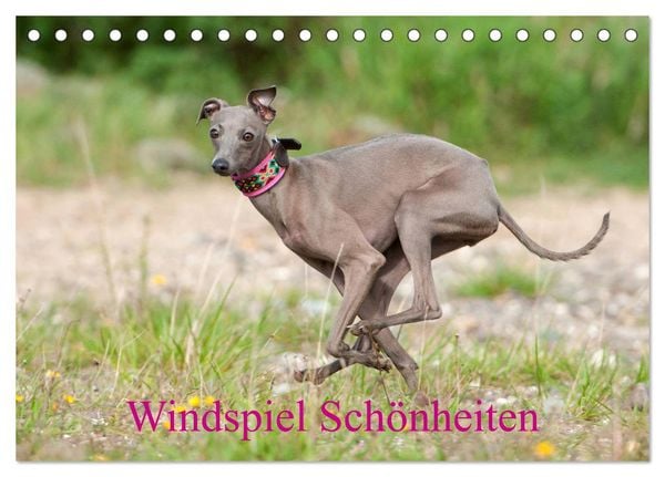Produktbild: Windspiel Sch&ouml;nheiten (Tischkalender 2026 DIN A5 quer), CALVENDO Monatskalender