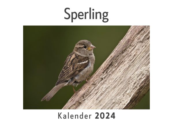 Produktbild: Sperling (Wandkalender 2024, Kalender DIN A4 quer, Monatskalender im Querformat mit Kalendarium, Das perfekte Geschenk)