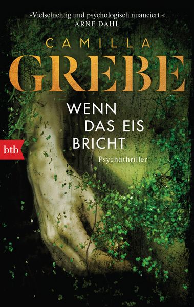 Produktbild: Wenn das Eis bricht