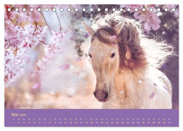Produktbild: Von der Magie der Pferde (Tischkalender 2026 DIN A5 quer), CALVENDO Monatskalender