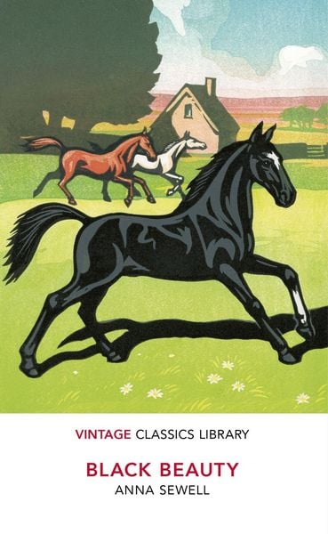 Produktbild: Black Beauty