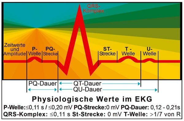 Produktbild: EKG Lineal professional II