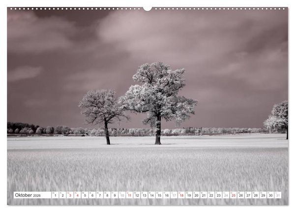 Produktbild: Zauberhafte Infrarot-Fotografie (hochwertiger Premium Wandkalender 2026 DIN A2 quer), Kunstdruck in Hochglanz